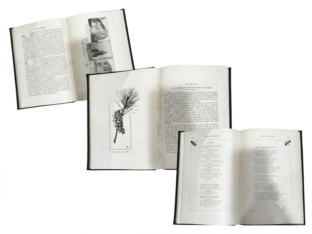 Title: Antique 1920 First Edition The Maine Book by Henry E. Dunnack (State Librarian)
