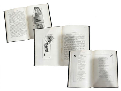 Title: Antique 1920 First Edition The Maine Book by Henry E. Dunnack (State Librarian)