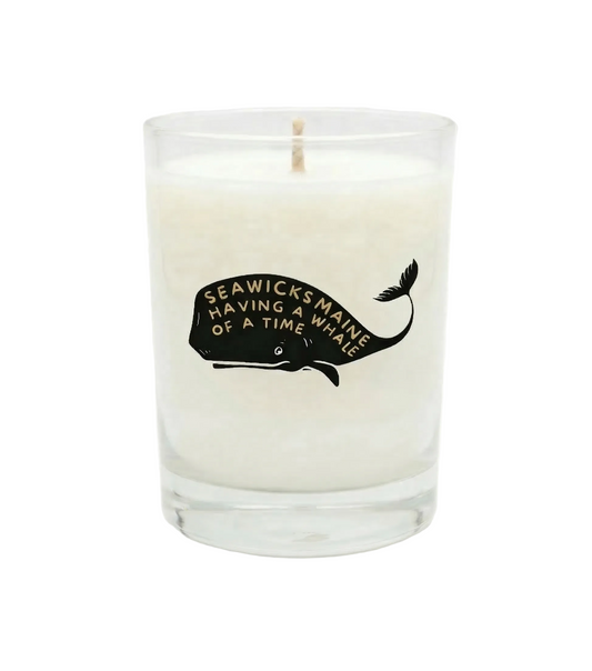 Whale of a Time | No. 01: The Vacationland Series